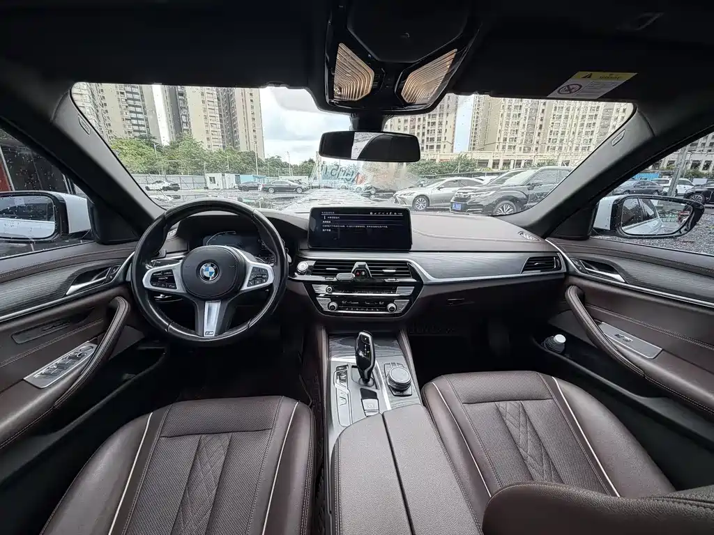 BMW 5 Series New Energy 2020