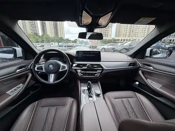 BMW 5 Series New Energy 2020