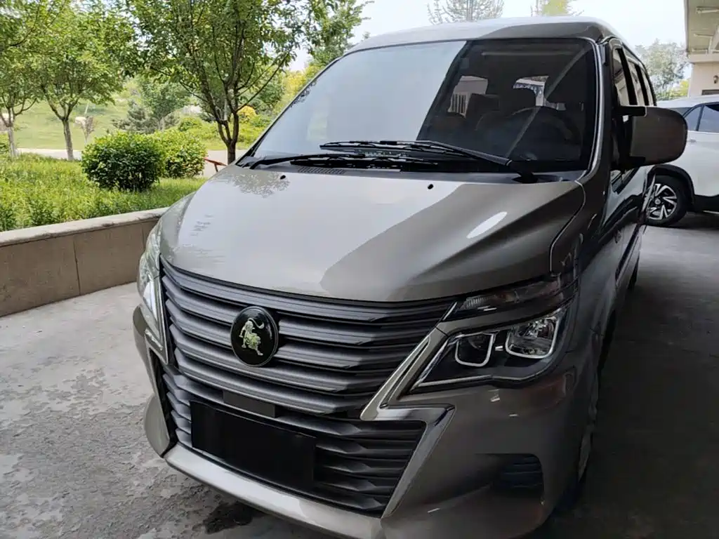 Dongfeng Lingzhi 2024