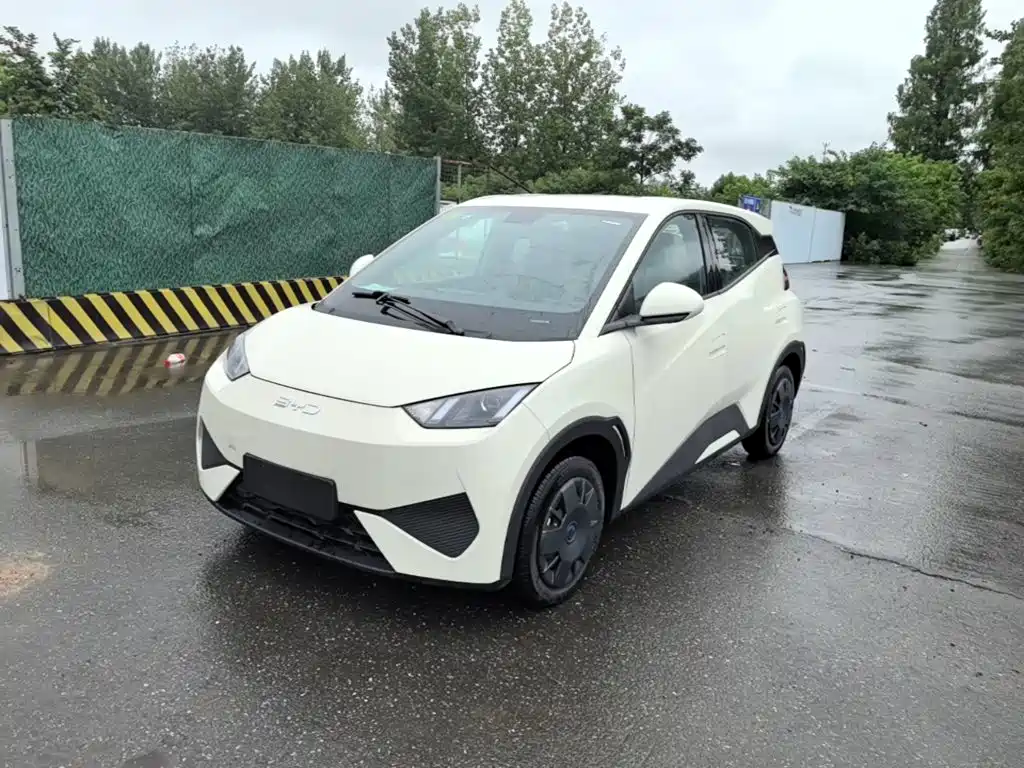 BYD Seagull 2026