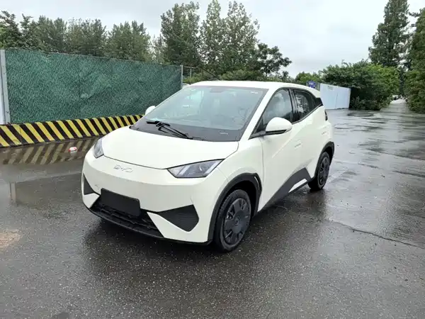 BYD Seagull 2026