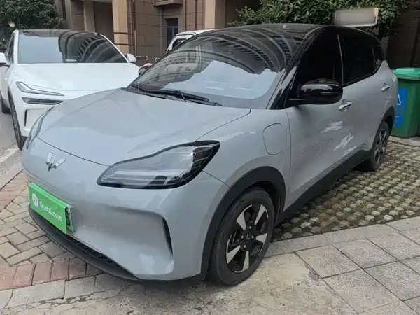 Wuling Bingo PLUS 2024