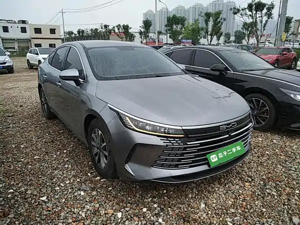 BYD Destroyer 05 2024