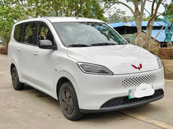 Wuling Hongguang New Energy 2025