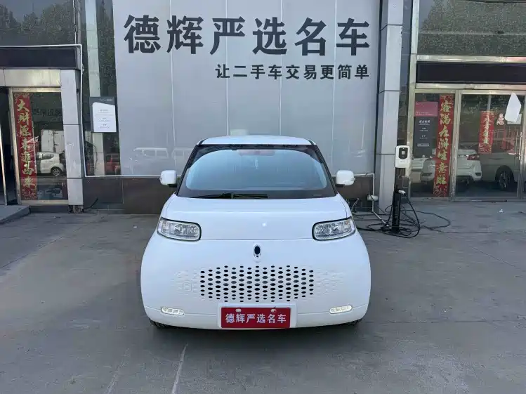 Ora White Cat 2021