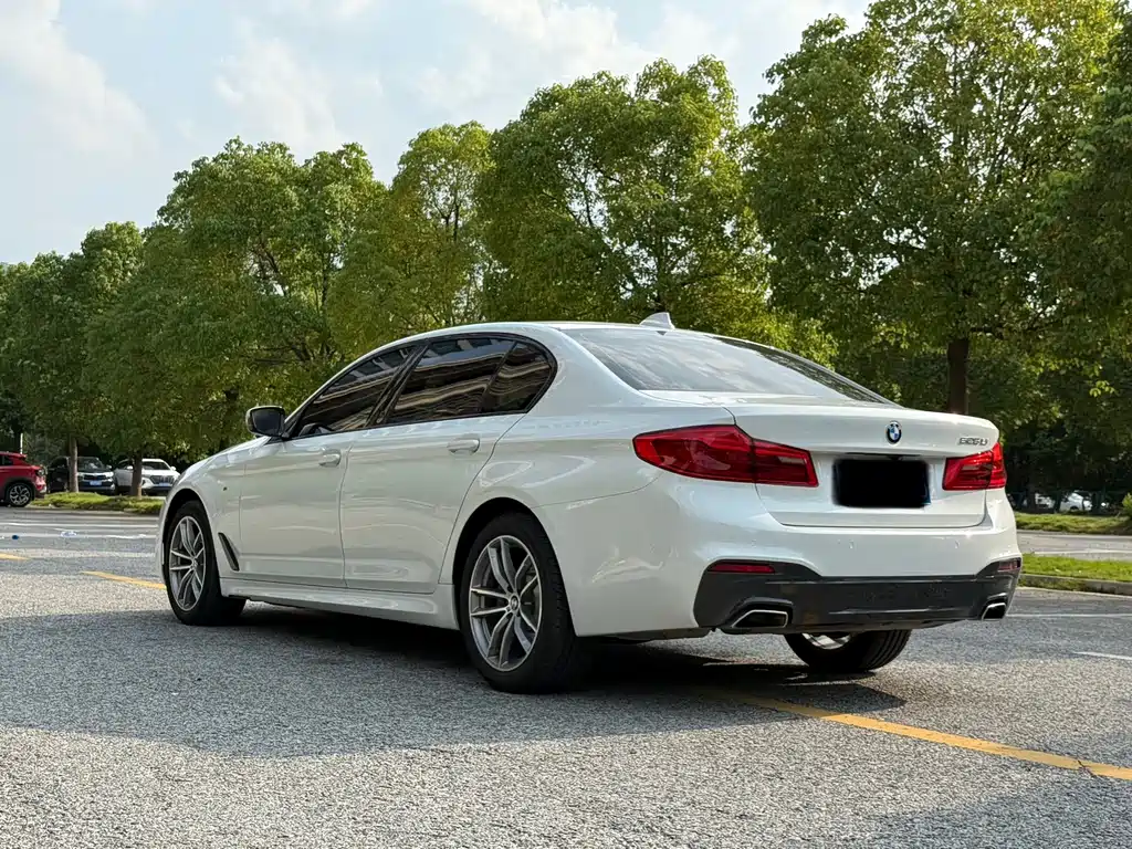 BMW 5 Series 2019 — фото 16