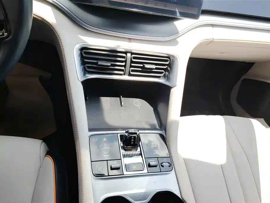 BYD PLUS New Energy 2023 — фото 16