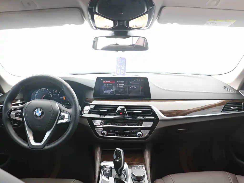BMW 5 Series 2019 — фото 14