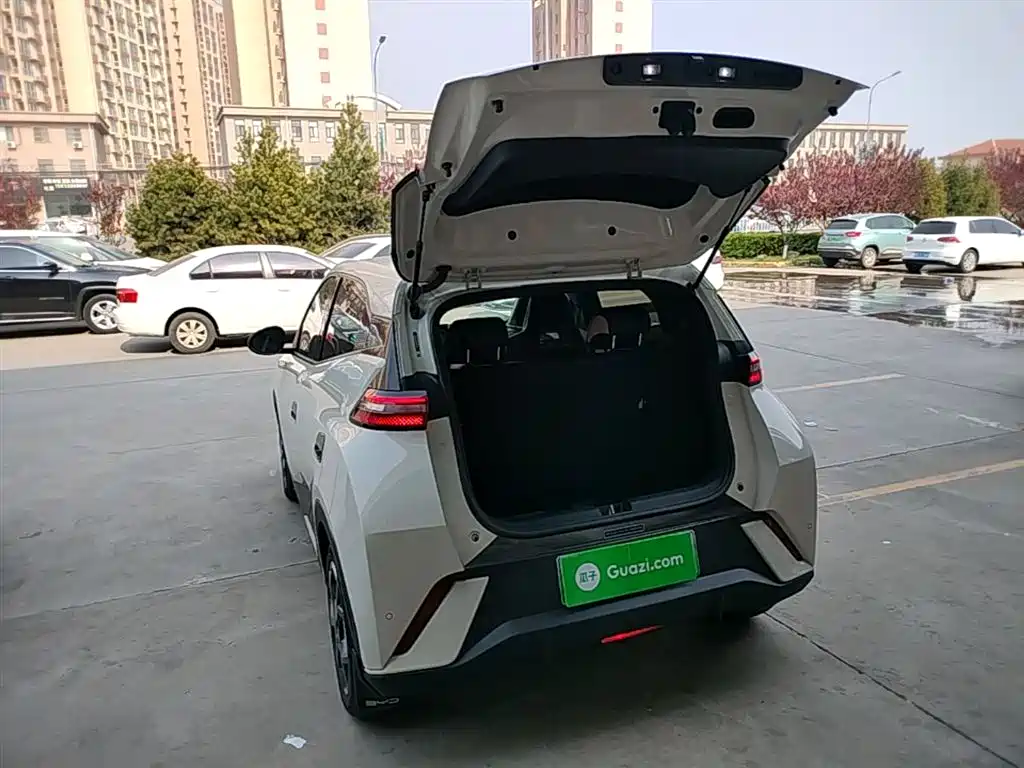 BYD Seagull 2025 — фото 19