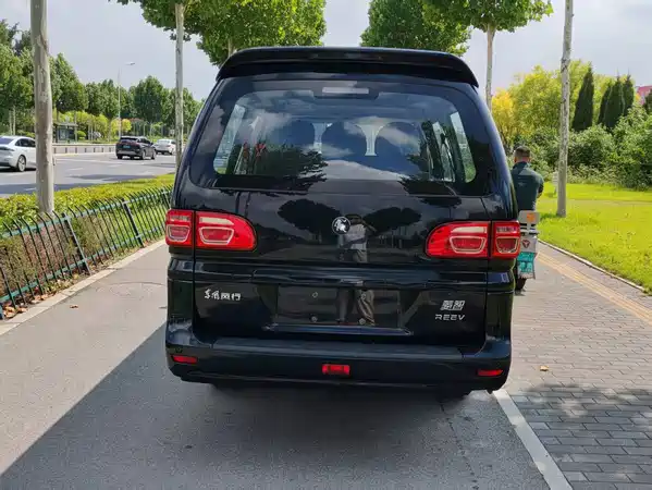 Dongfeng Lingzhi New Energy 2026