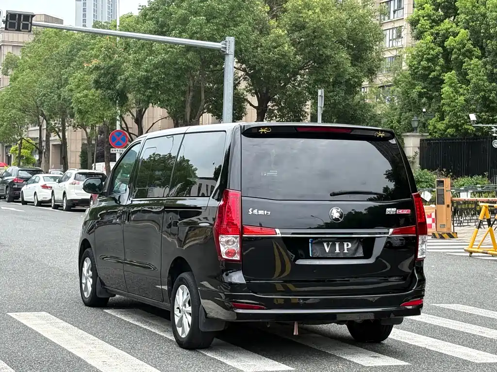 Fengxing Lingzhi PLUS 2023