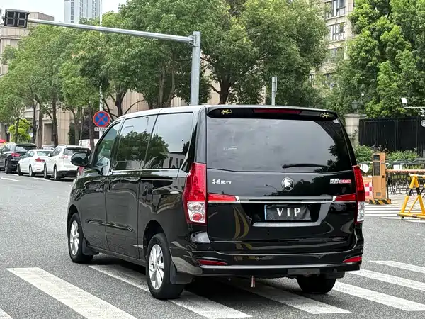 Dongfeng Lingzhi PLUS 2023