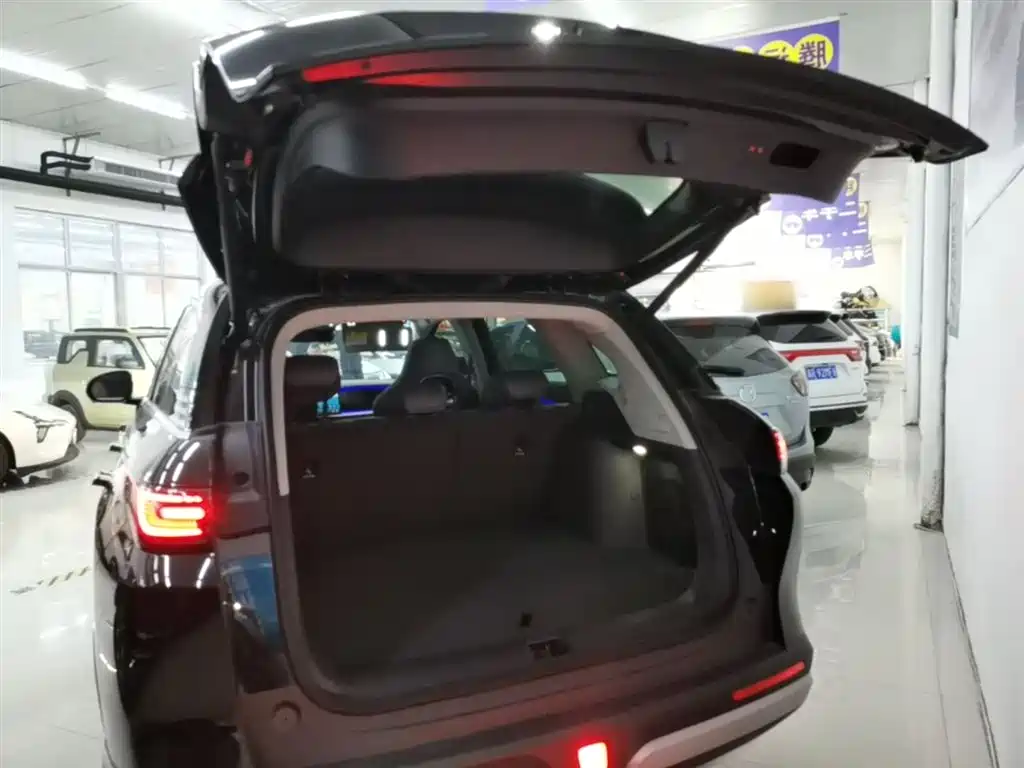 BYD Sealion 07 DM-i 2025 — фото 19