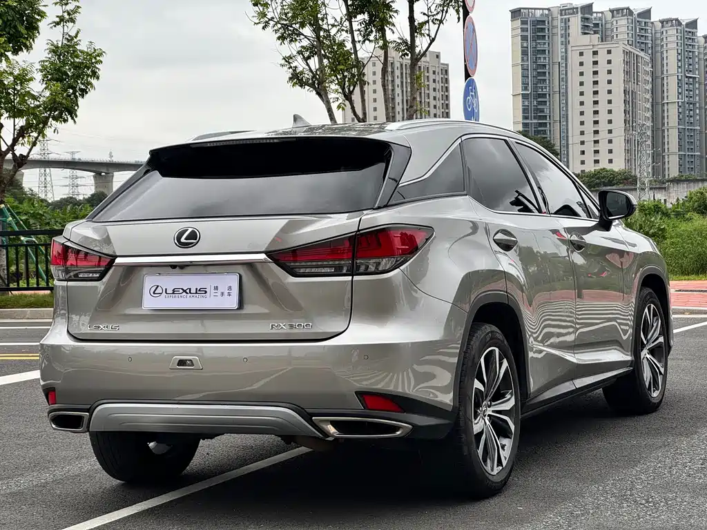 Lexus RX 2020 — фото 14