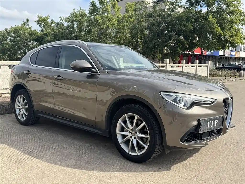 Alfa Romeo Stelvio 2019 — фото 20