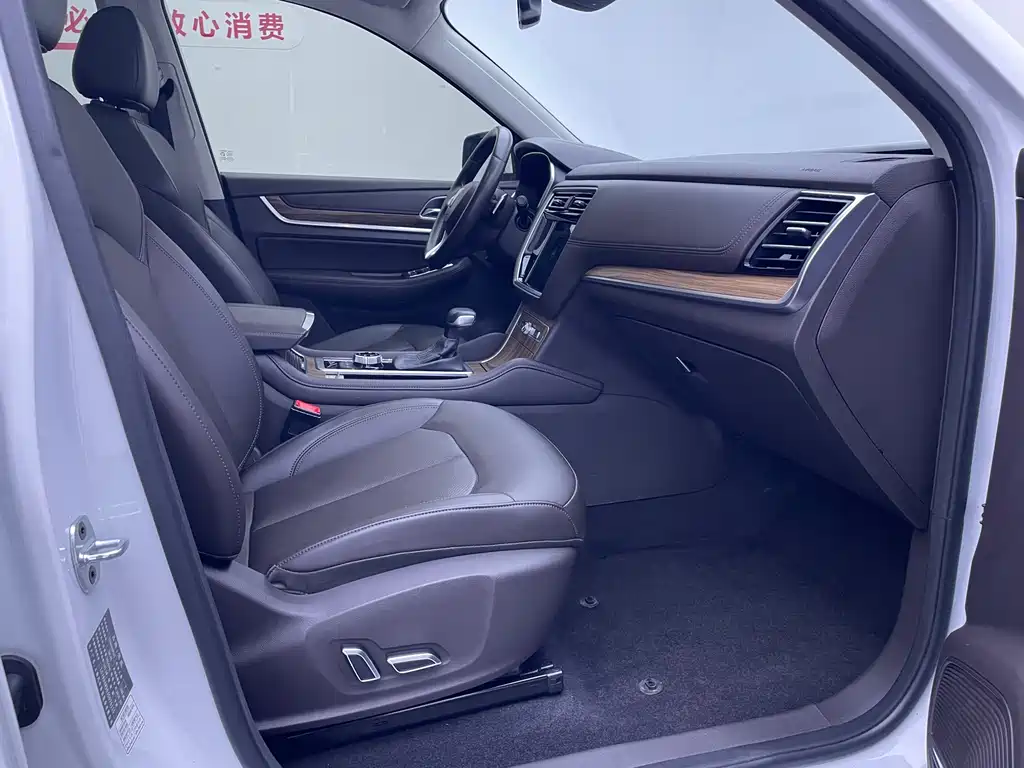 Roewe RX8 2019 — фото 11