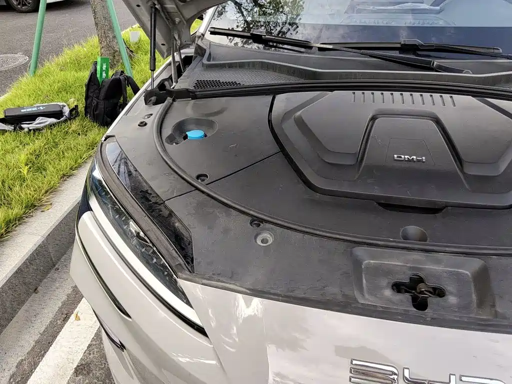 BYD Song PLUS New Energy 2023 — фото 20