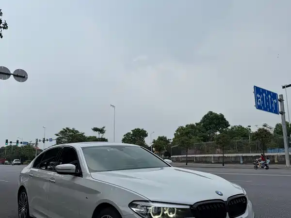 BMW 5 Series 2019