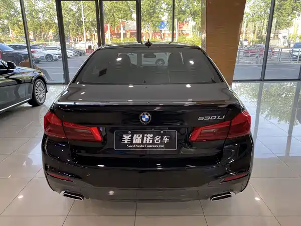BMW 5 Series 2019