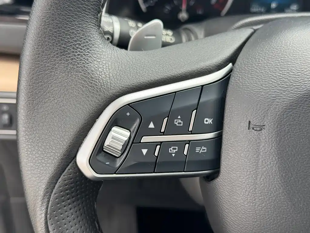 Haval H6 2021 — фото 14