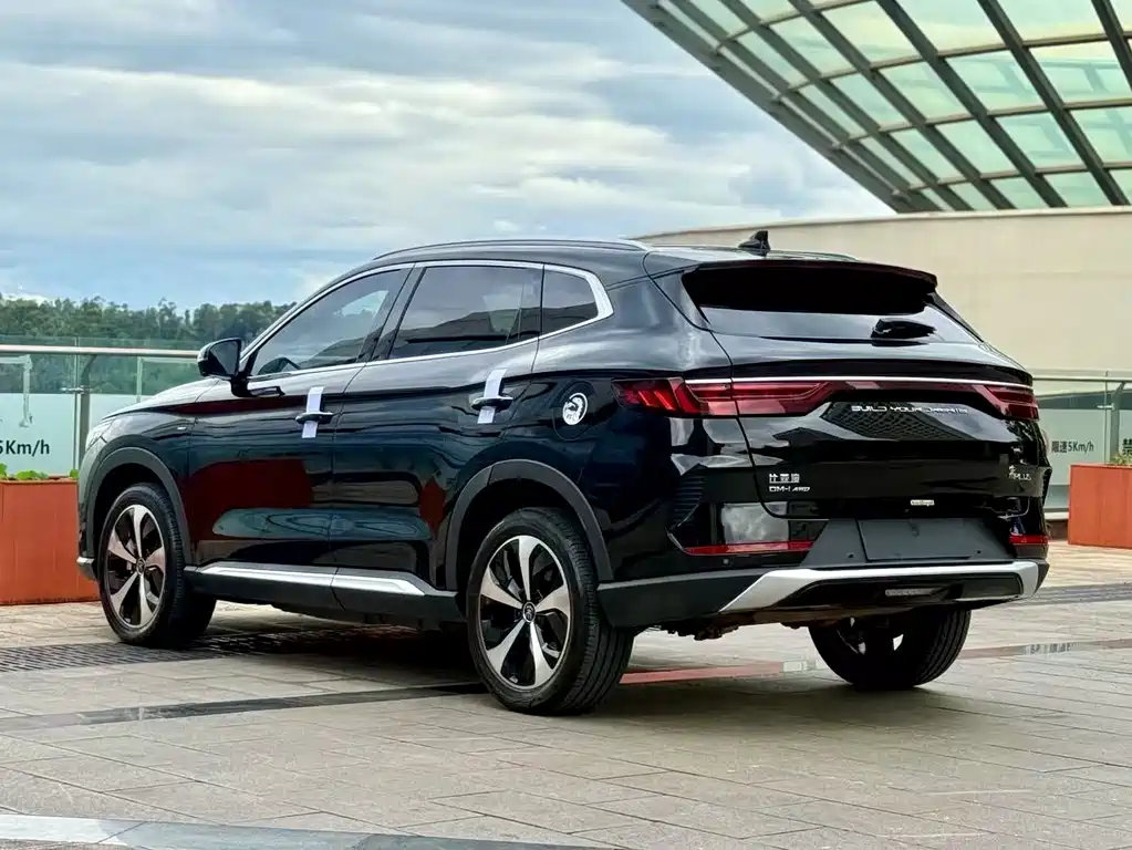 BYD PLUS New Energy 2023 — фото 6