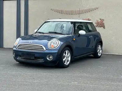 MINI MINI 2010