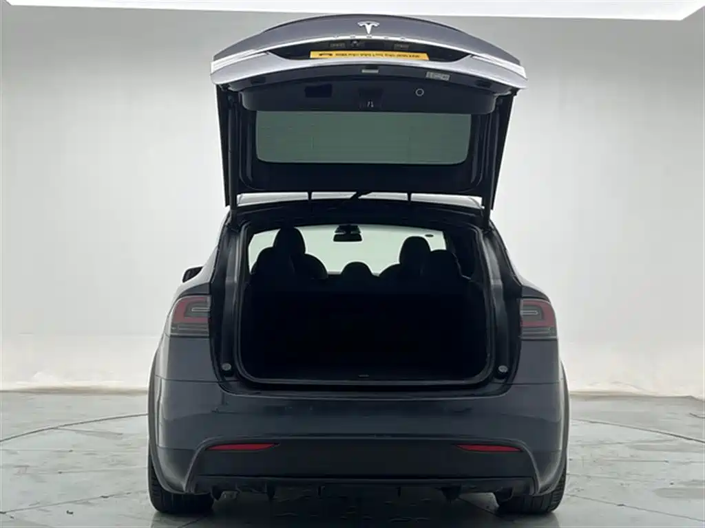Tesla Model X 2020 — фото 24