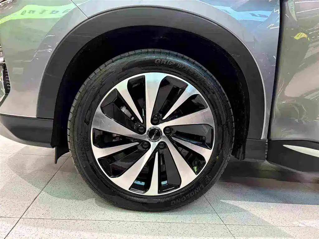 BYD Song PLUS New Energy 2024 — фото 15