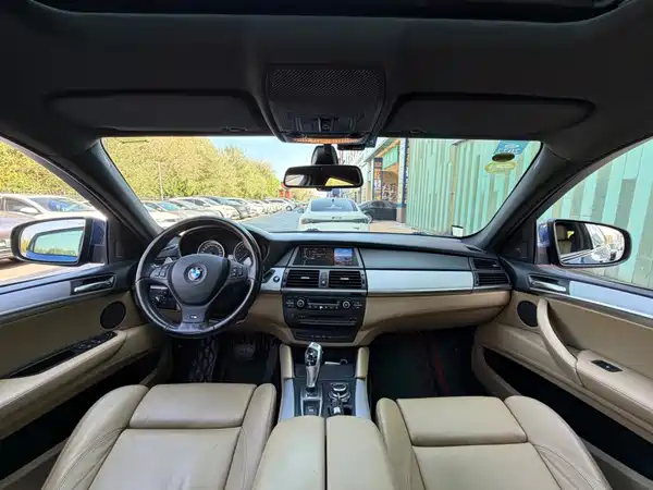 BMW X6 M 2010