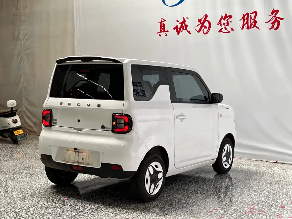 Geely Galaxy Panda 2025 — фото 16
