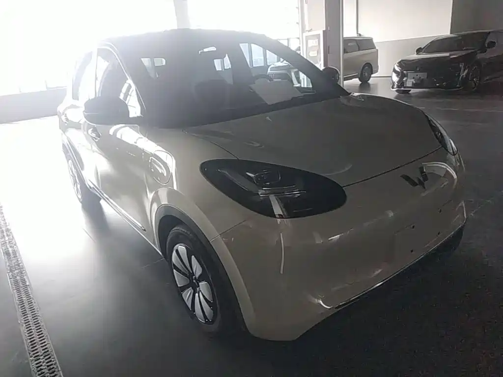 Wuling Bingo 2024