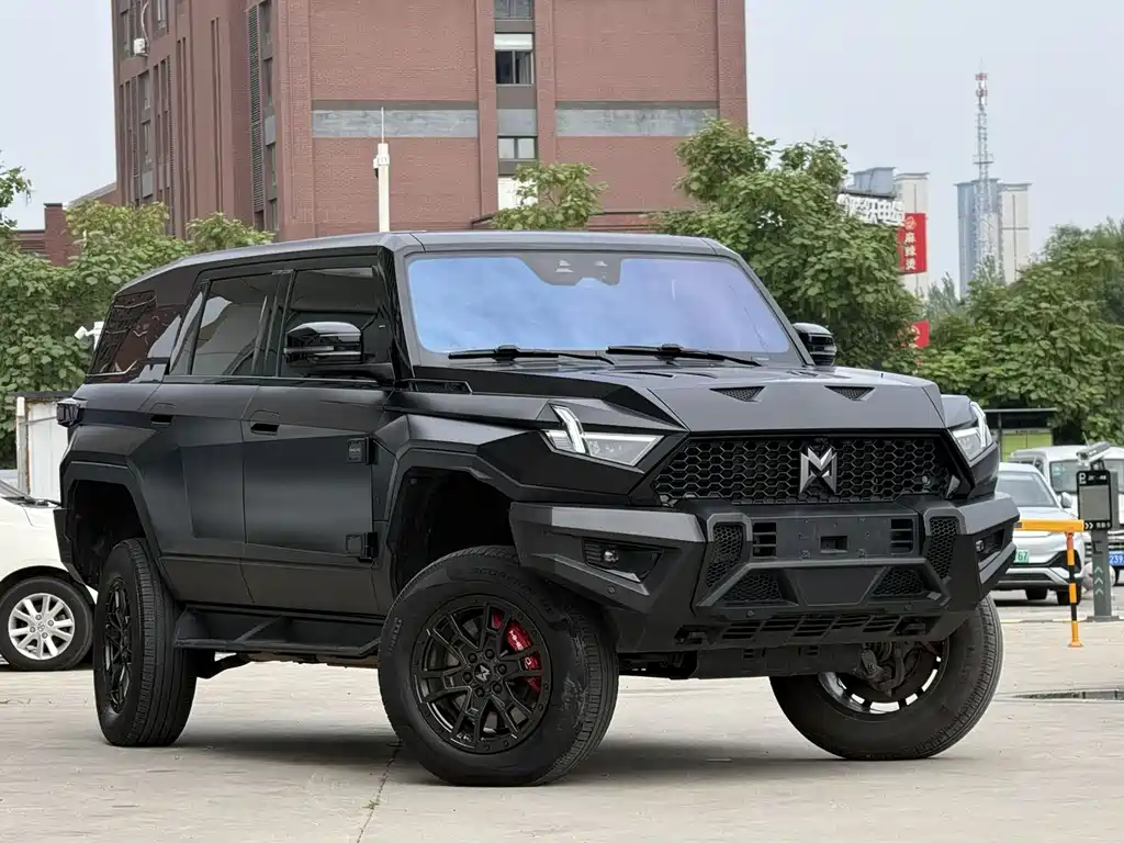 Mengshi 917 2024