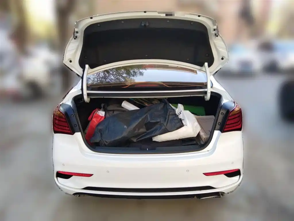 Hyundai Mistra 2017 — фото 10