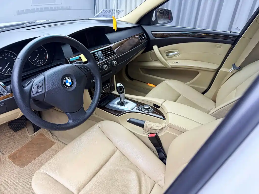 BMW 5 Series 2010 — фото 9