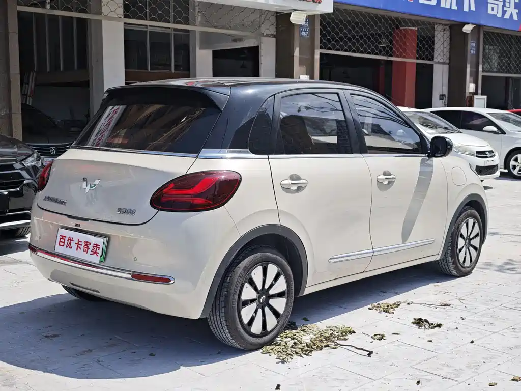 Wuling Bingo 2024