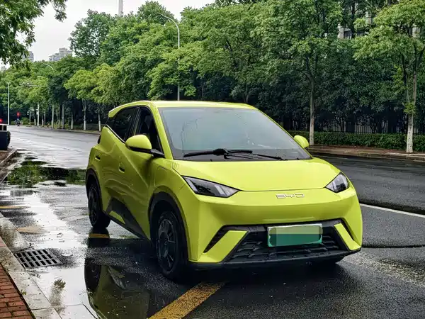 BYD Seagull 2024