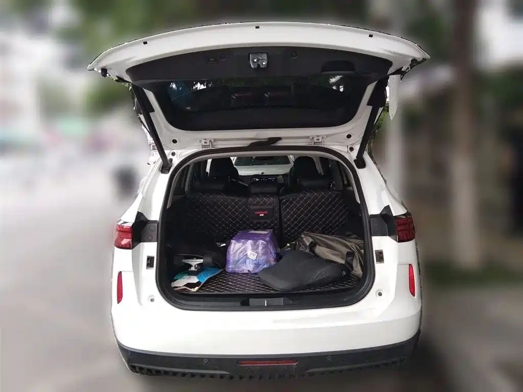Haval H6 2023 — фото 10