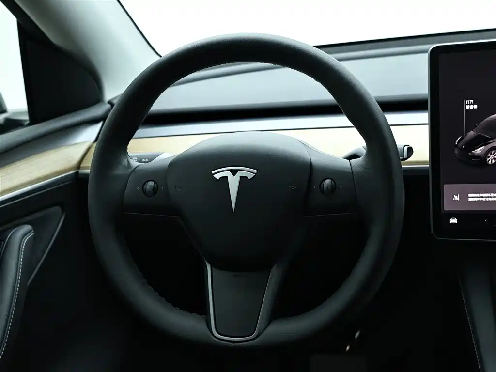Tesla Model Y 2021 — фото 16