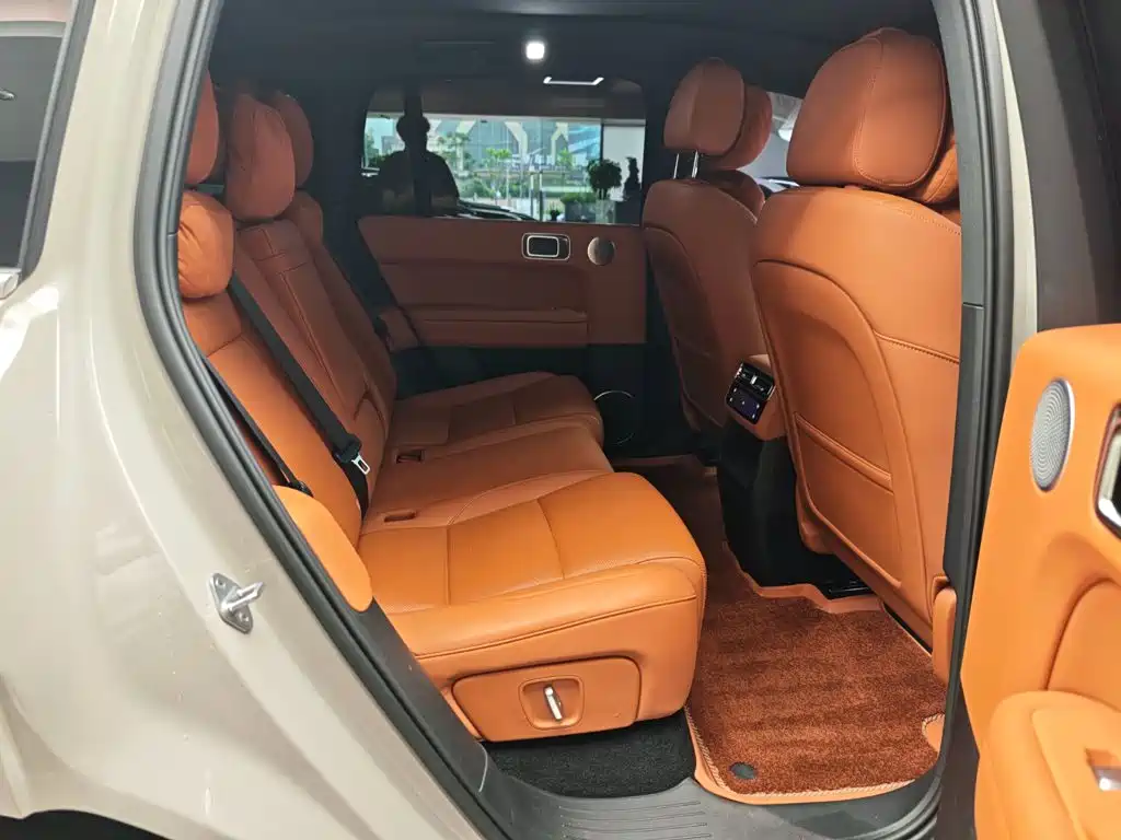 Li Auto L6 2024 — фото 11
