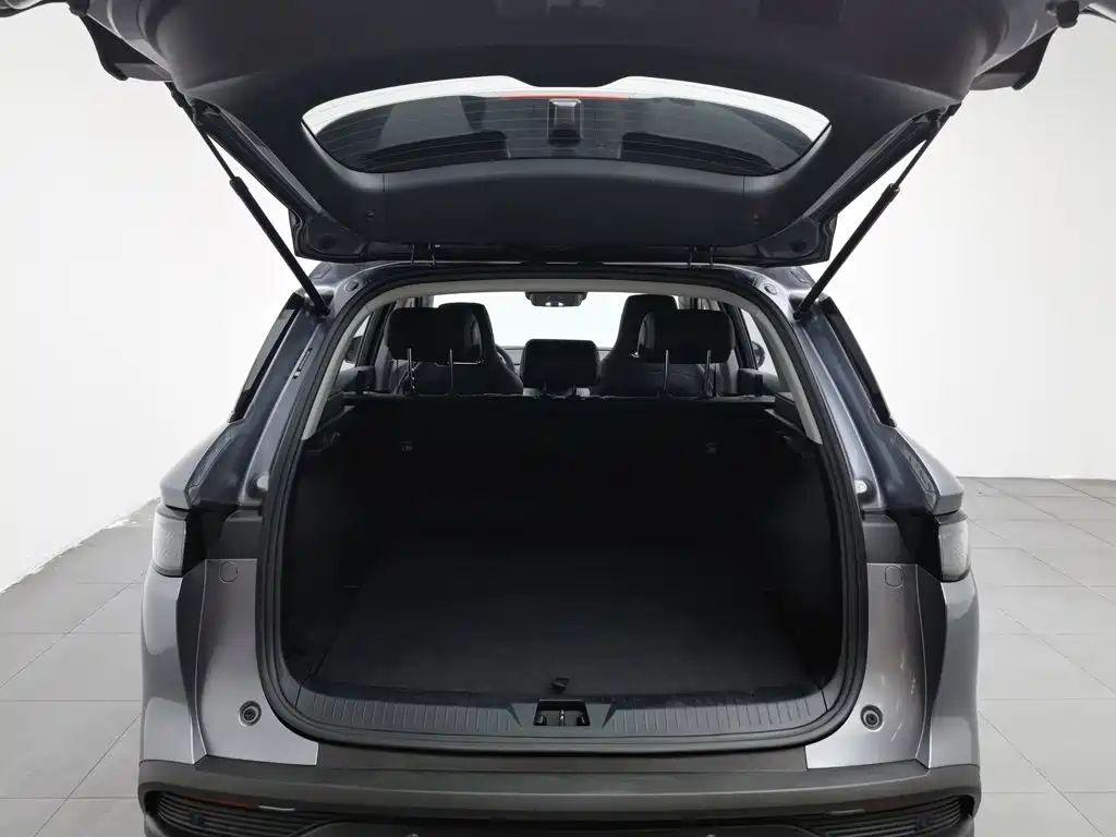 BYD Sealion 05 DM-i 2025 — фото 16