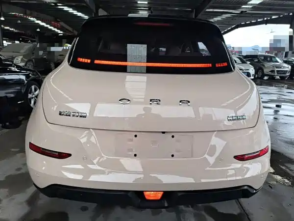 Ora Good Cat 2022