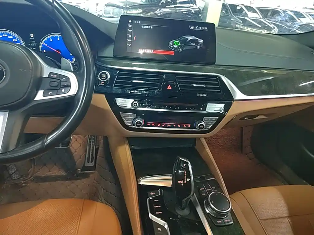 BMW 5 Series 2018 — фото 13
