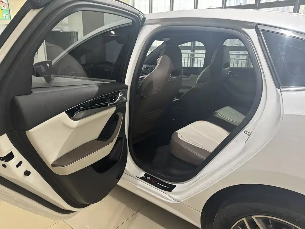 BYD Qin PLUS 2024 — фото 8