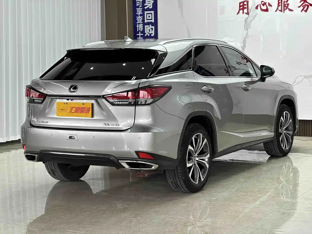 Lexus RX 2022 — фото 20