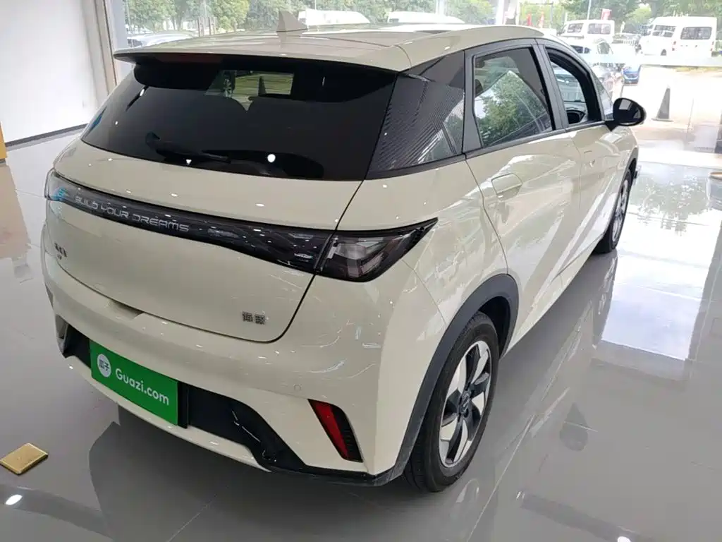 BYD Dolphin 2024