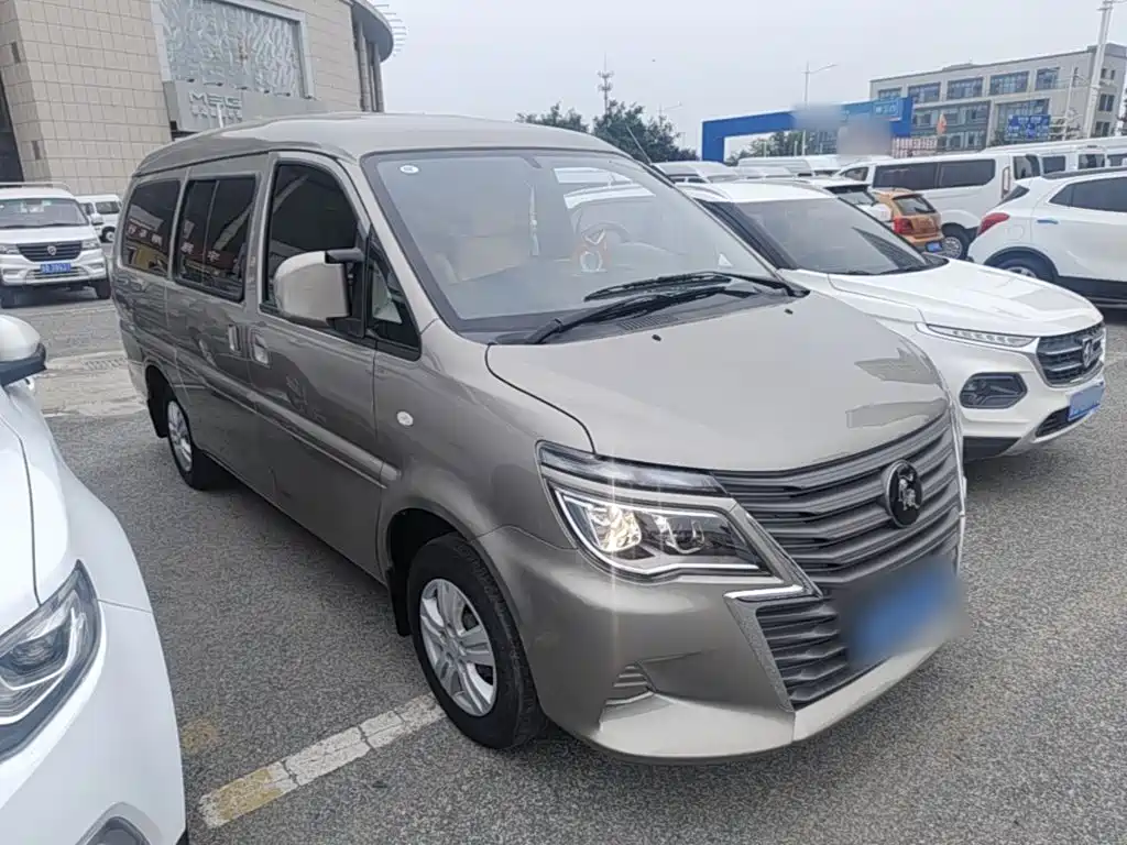Fengxing Lingzhi 2023