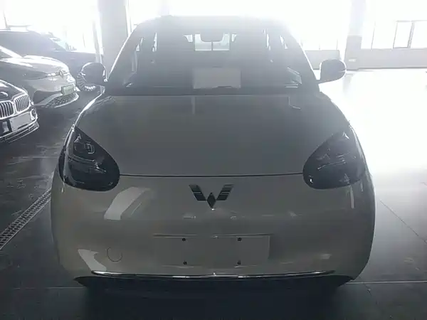 Wuling Bingo 2024