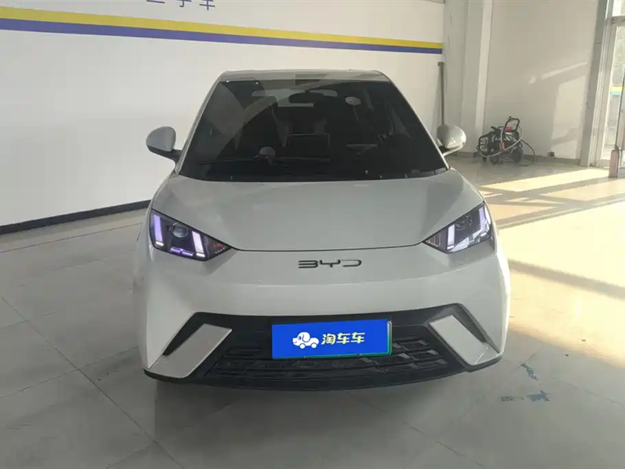 BYD Seagull 2024