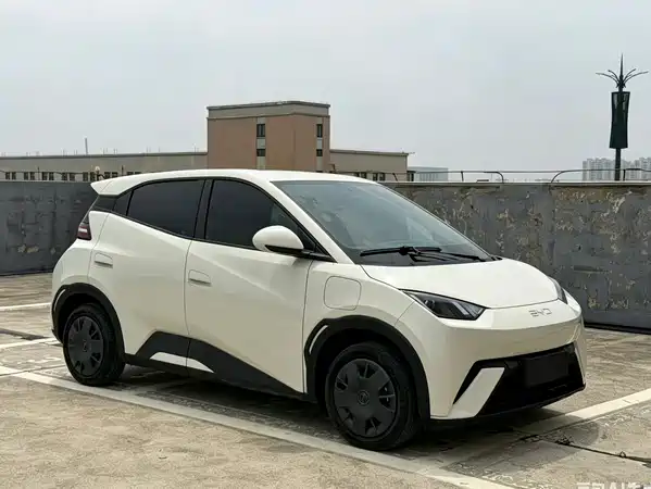 BYD Seagull 2024