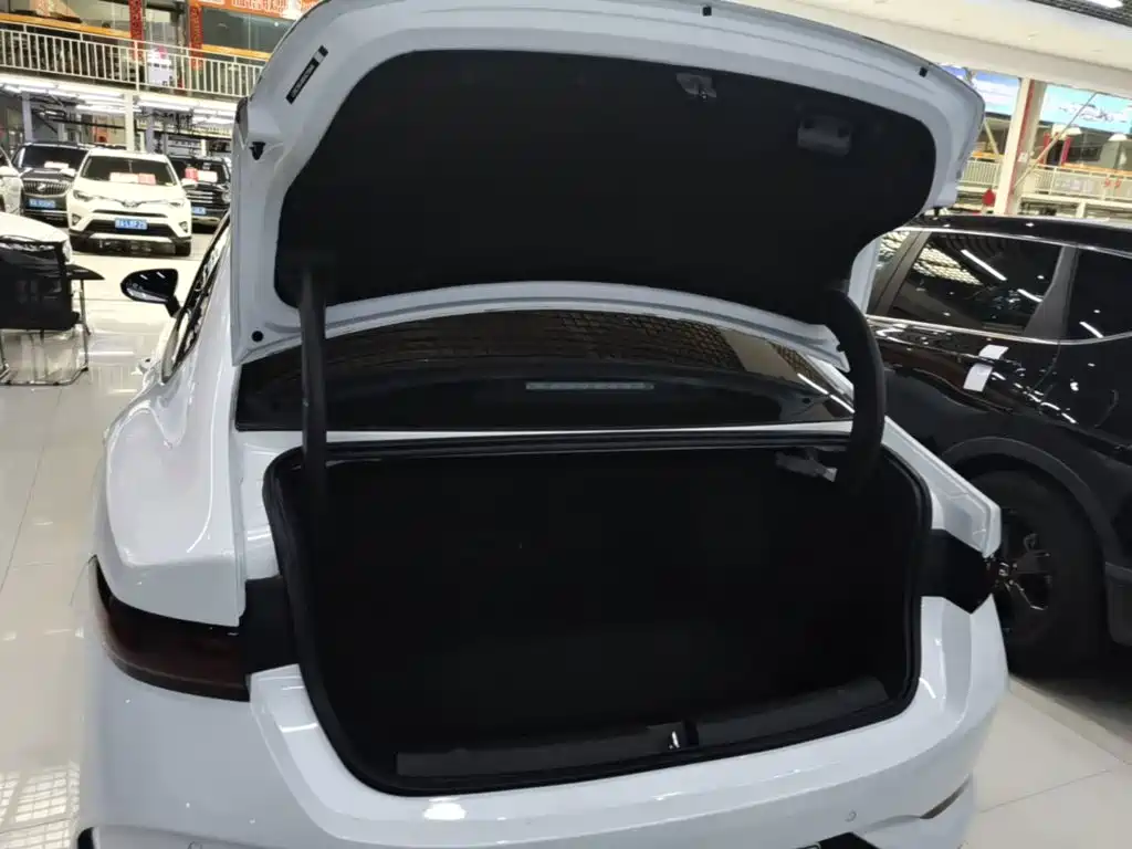 BYD Qin PLUS 2025 — фото 19